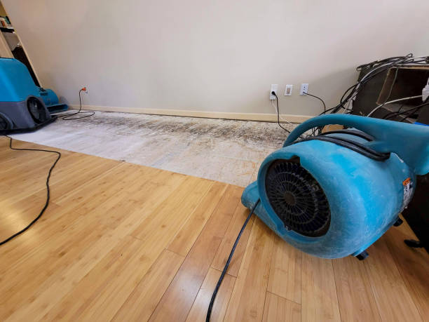 Professional Structural Drying technician working in Eastover, NC